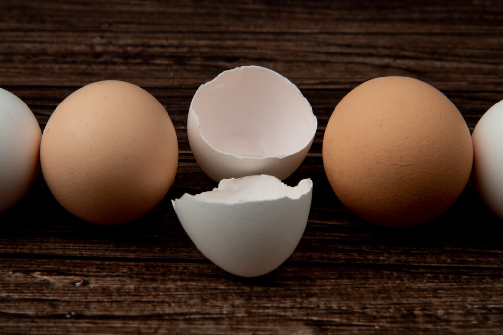 Tavuklarda Yumurta Kabuk Problemi Nedir? Nedenleri, Türleri ve Çözüm Yolları